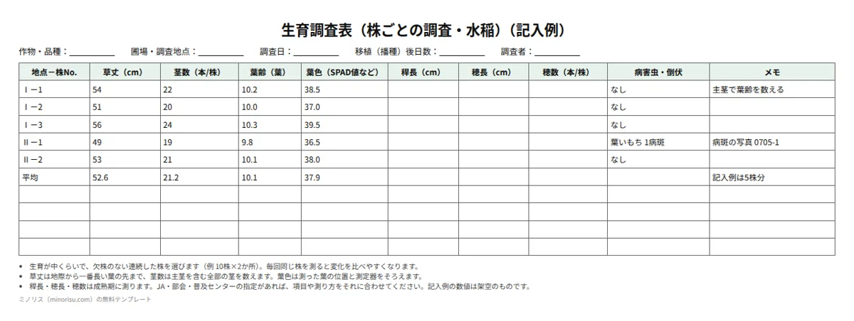 生育調査表の記入例