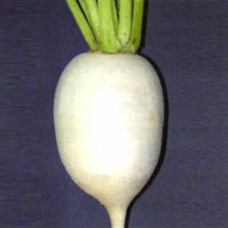 辛味そば大根の画像