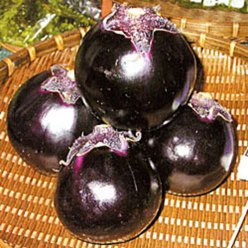 吉川丸なすの画像