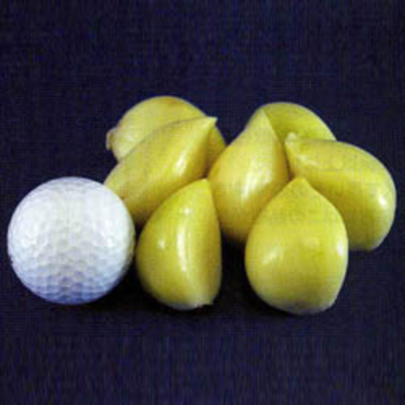 スーパージャンボニンニクの画像