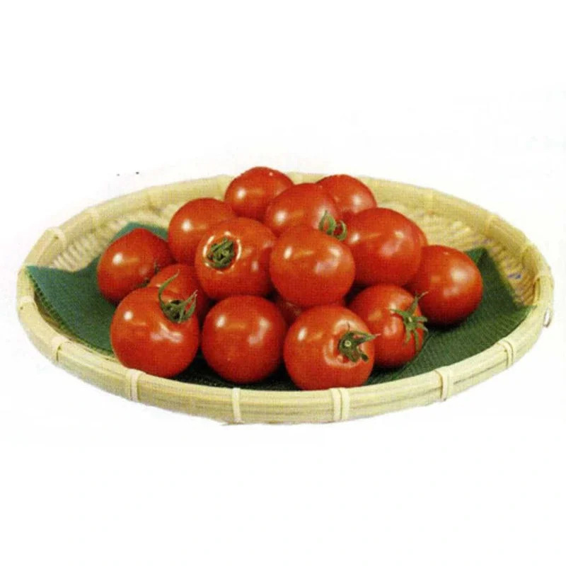 華キュートの画像