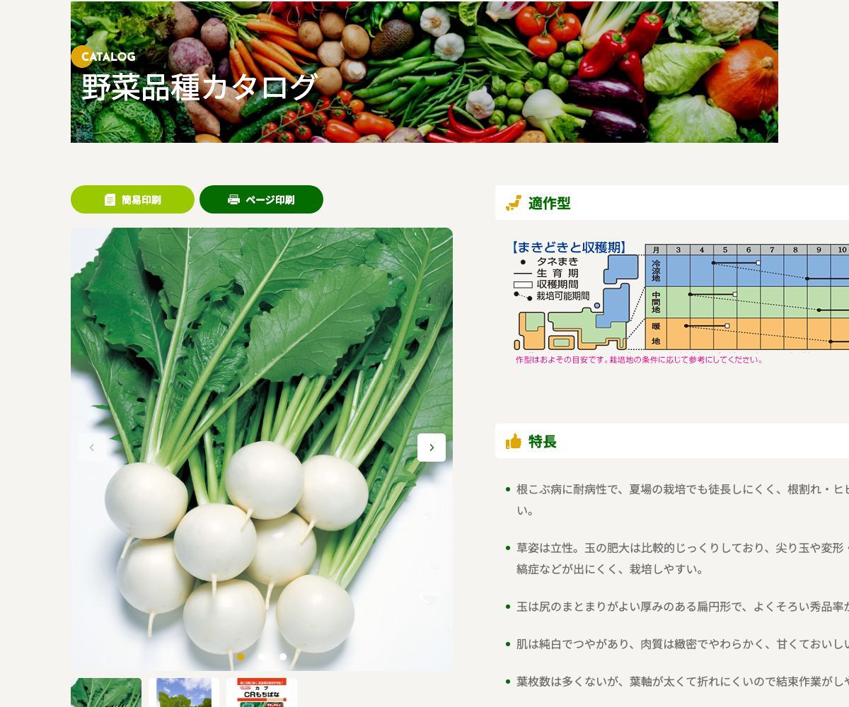 CRもちばな