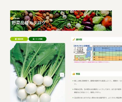 CRもちばなの画像