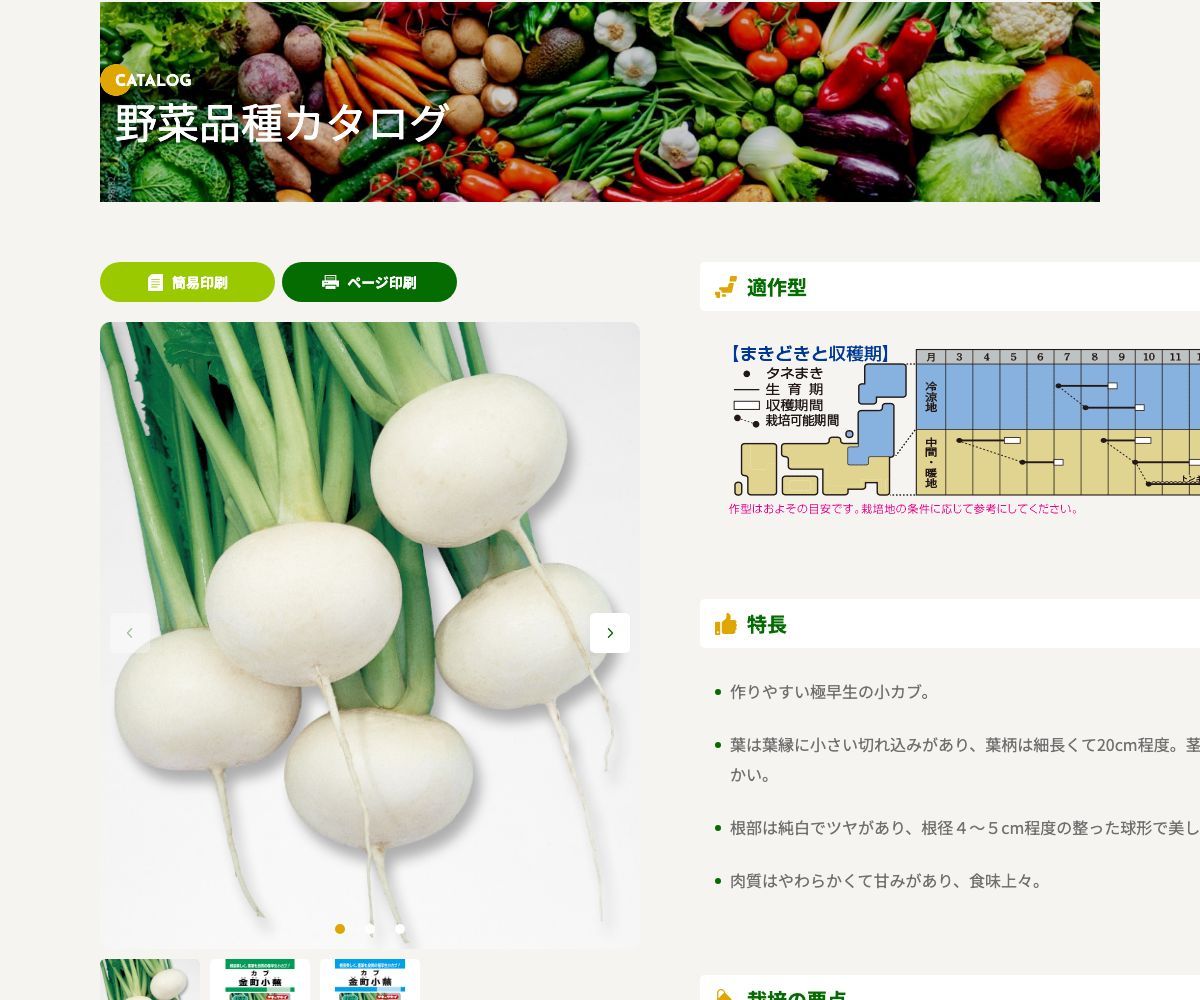 金町小蕪