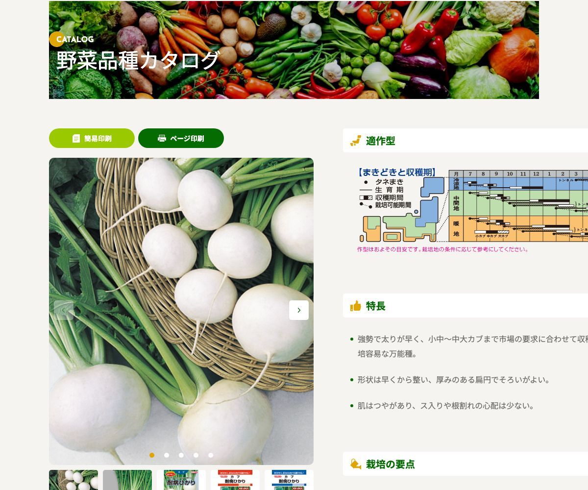 耐病ひかり