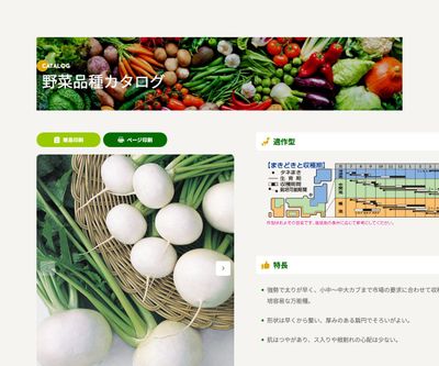 耐病ひかりの画像