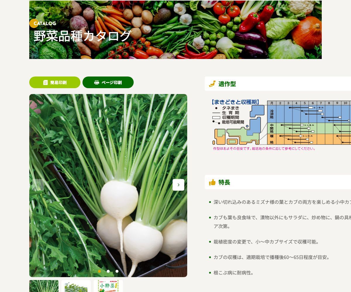 小粋菜