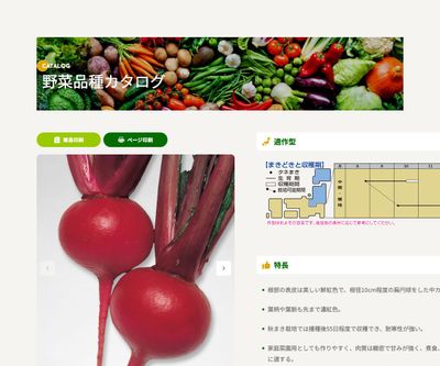 本紅赤丸蕪の画像