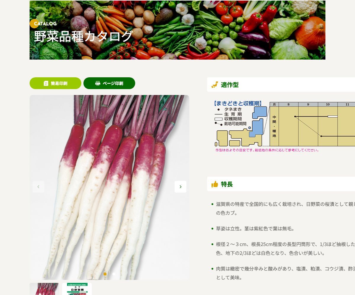 日野菜蕪