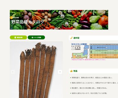 純三年子滝野川大長の画像