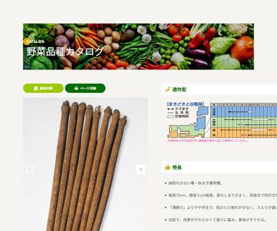 柳川理想の画像