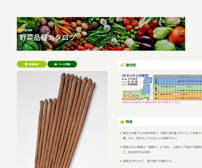 渡辺早生の画像