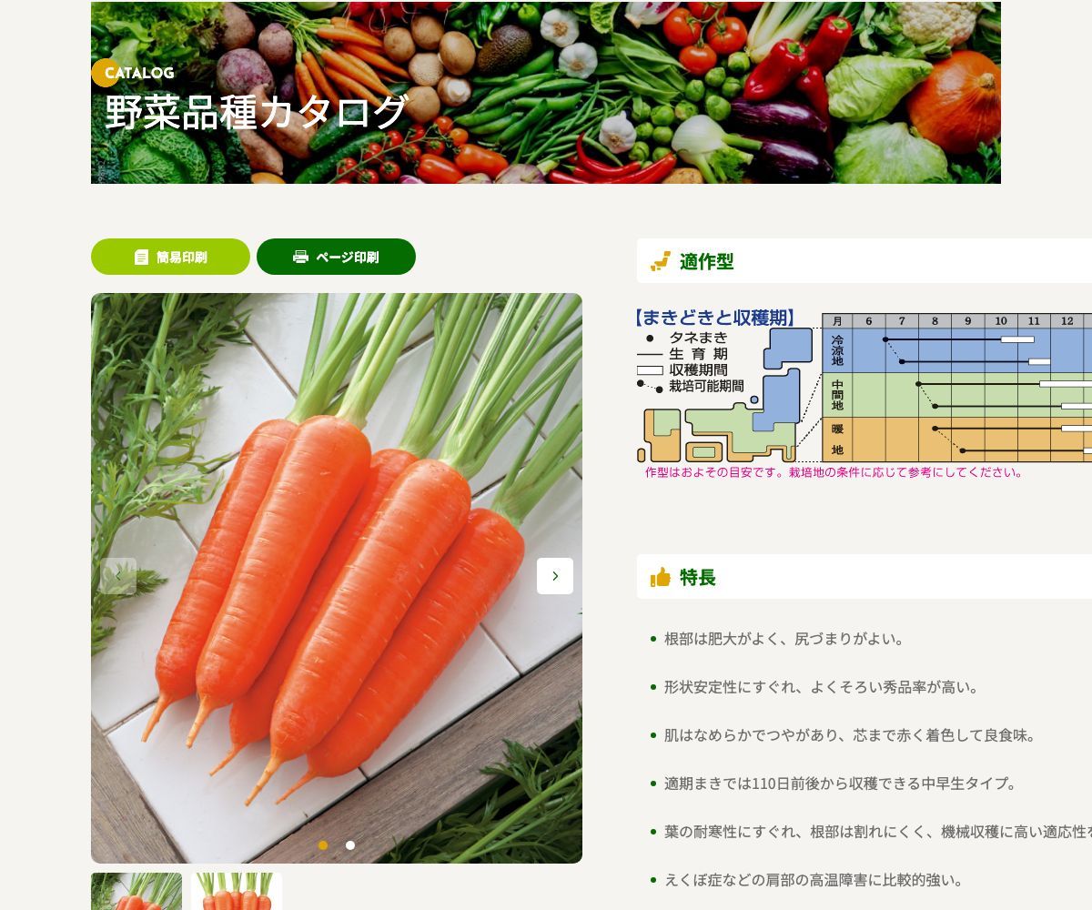 冬ちあき