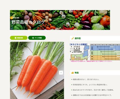 冬ちあきの画像