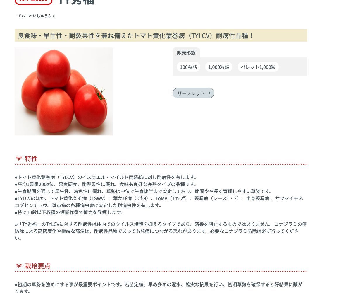 TY秀福