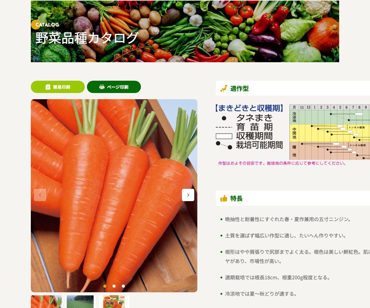 向陽二号