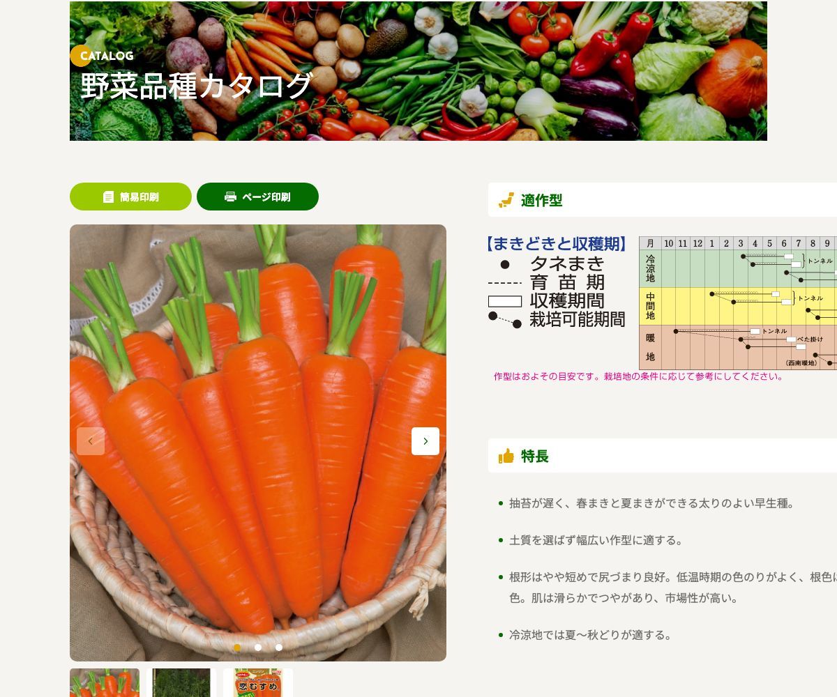 恋むすめ