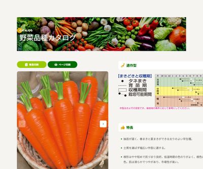 恋むすめの画像