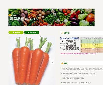 恋ごころの画像