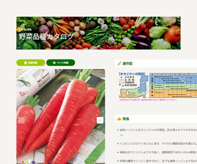 京くれないEXの画像