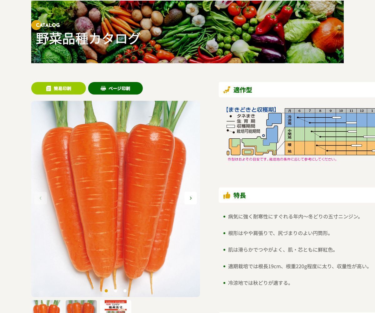 陽州五寸