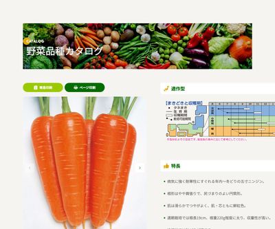 陽州五寸の画像