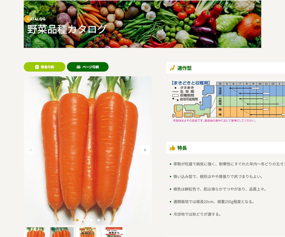 陽明五寸