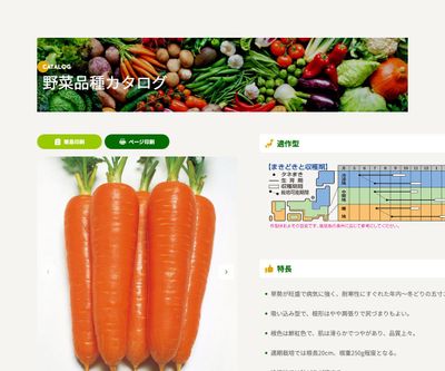 陽明五寸の画像