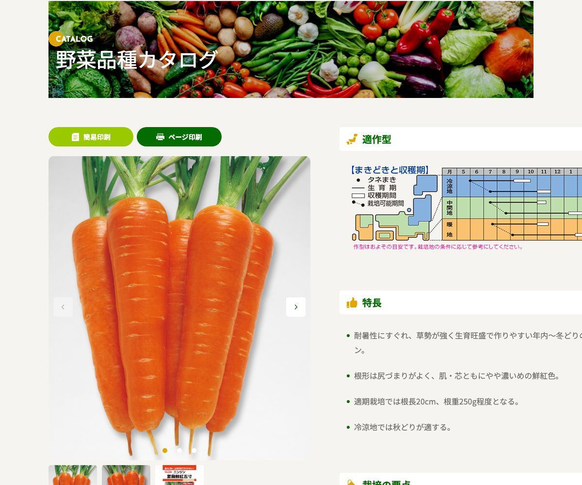 夏蒔鮮紅五寸