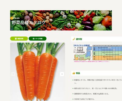 夏蒔鮮紅五寸の画像