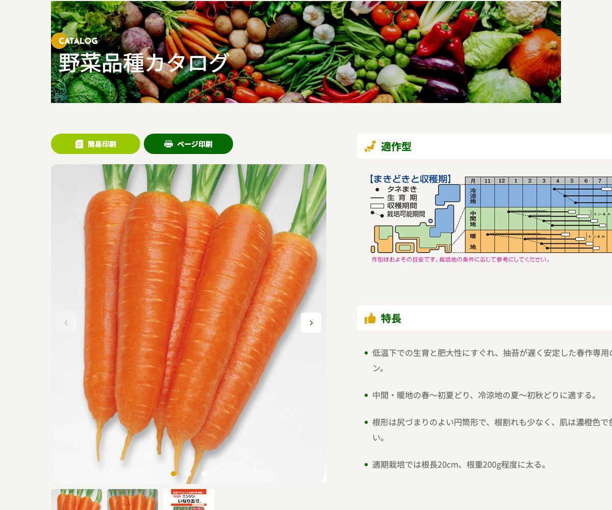 いなり五寸