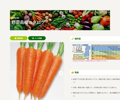 いなり五寸の画像