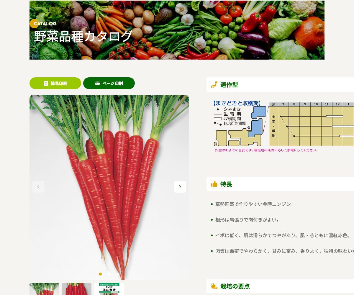 本紅金時