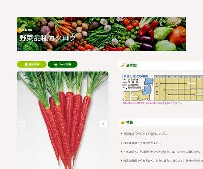 本紅金時の画像