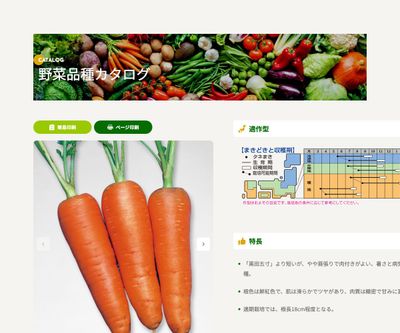 新黒田五寸の画像