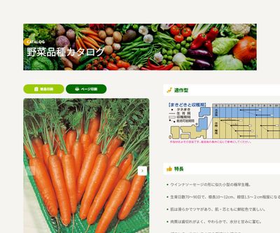 ピッコロの画像