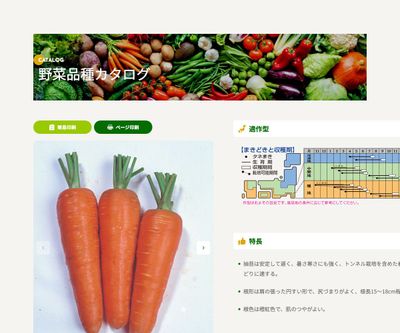 時無五寸（アーリー・チャンテネー）の画像