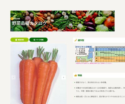 新大型五寸（チャンテネー・インプルーブド）の画像