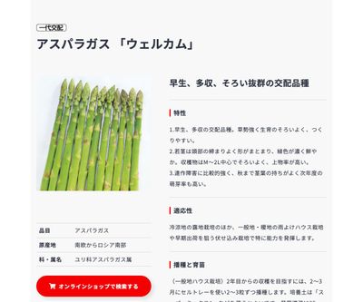 ウェルカムの画像