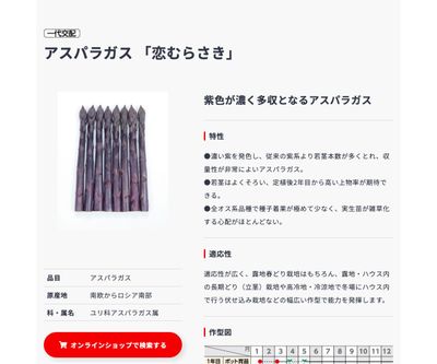 恋むらさきの画像