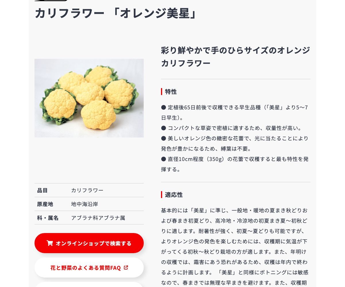 オレンジ美星
