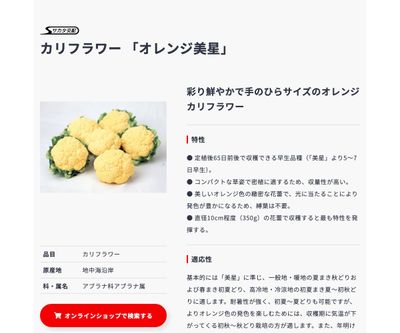 オレンジ美星の画像