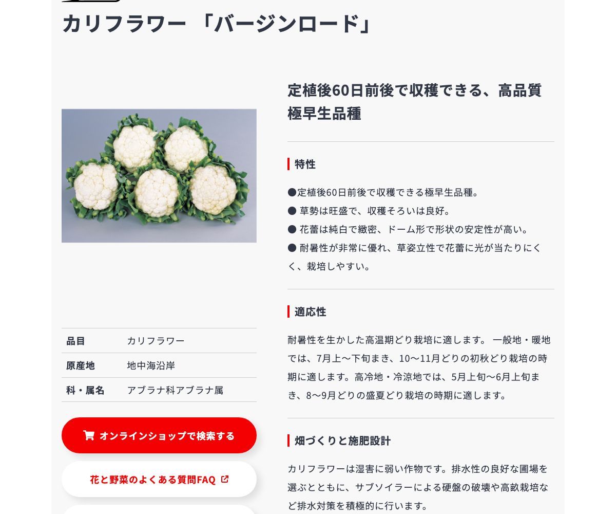 バージンロード
