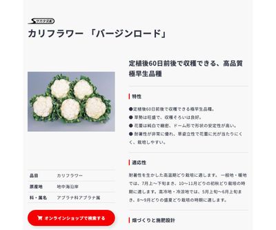 バージンロードの画像