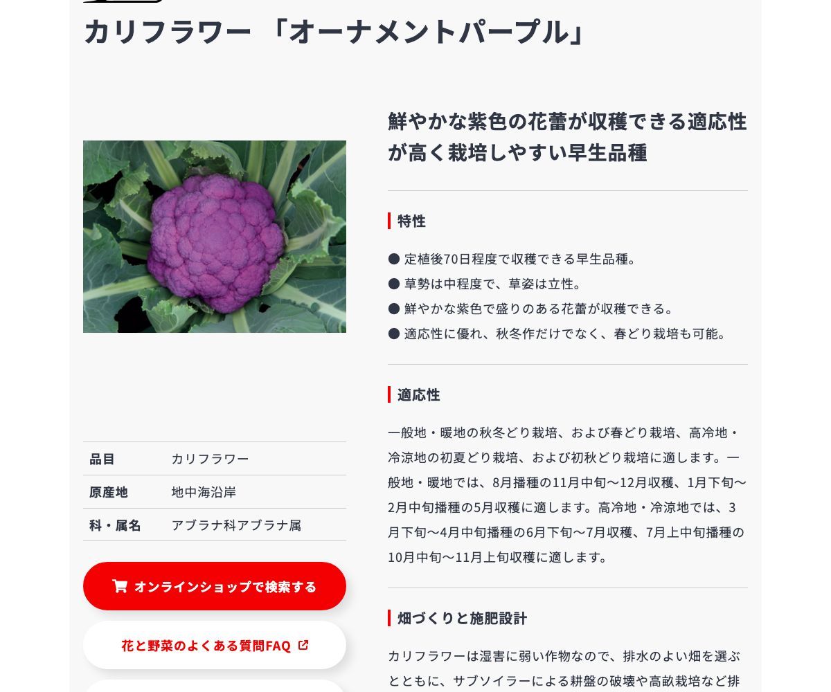 オーナメントパープル
