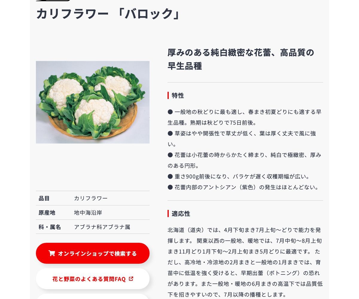 バロック