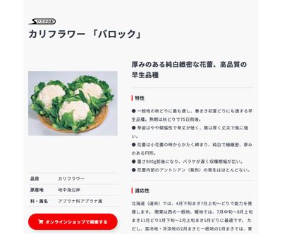 バロックの画像