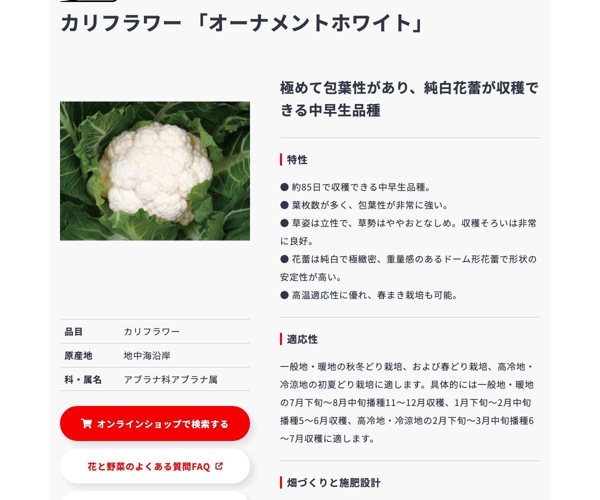 オーナメントホワイト