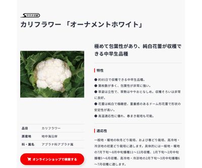 オーナメントホワイトの画像