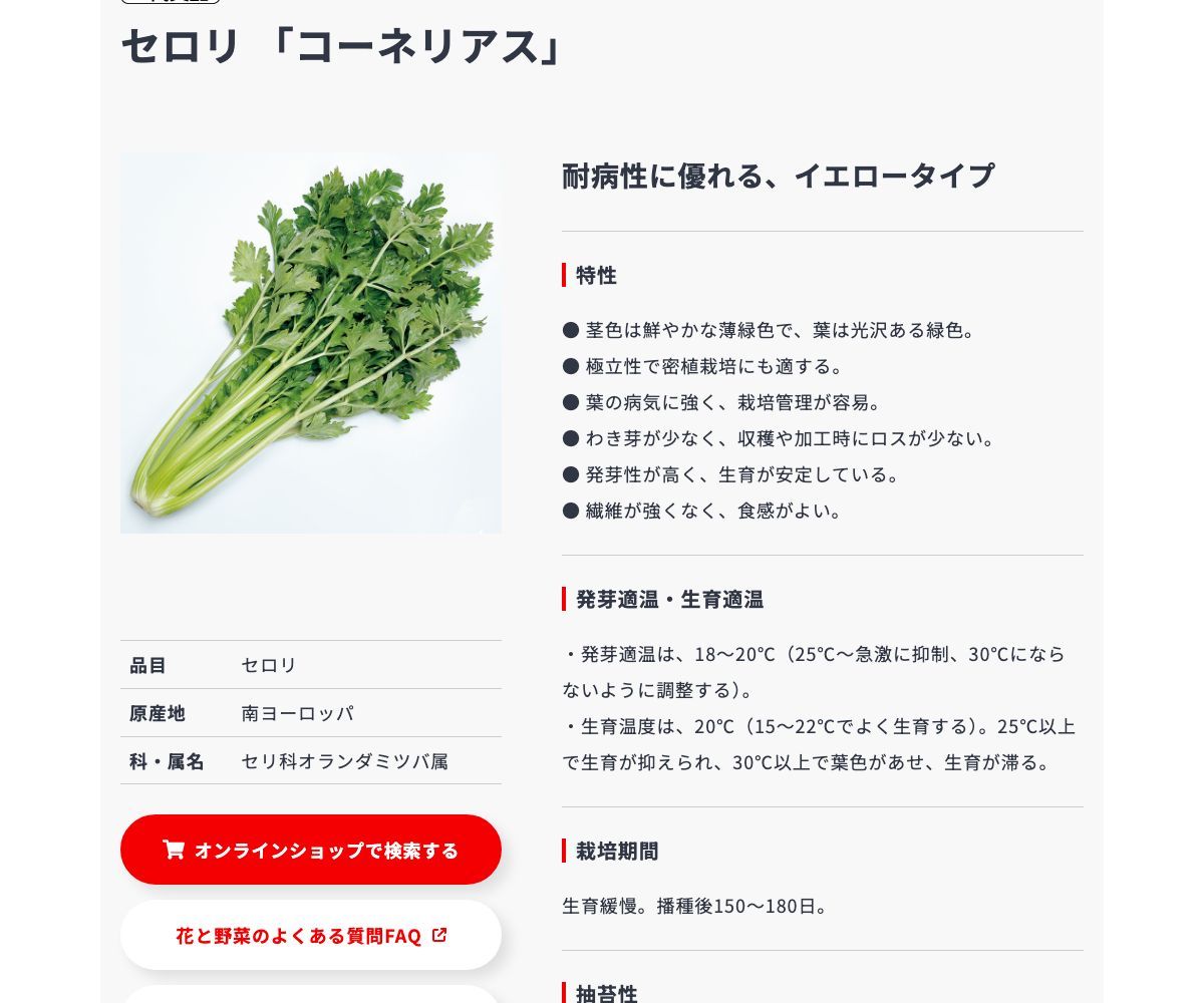 コーネリアス